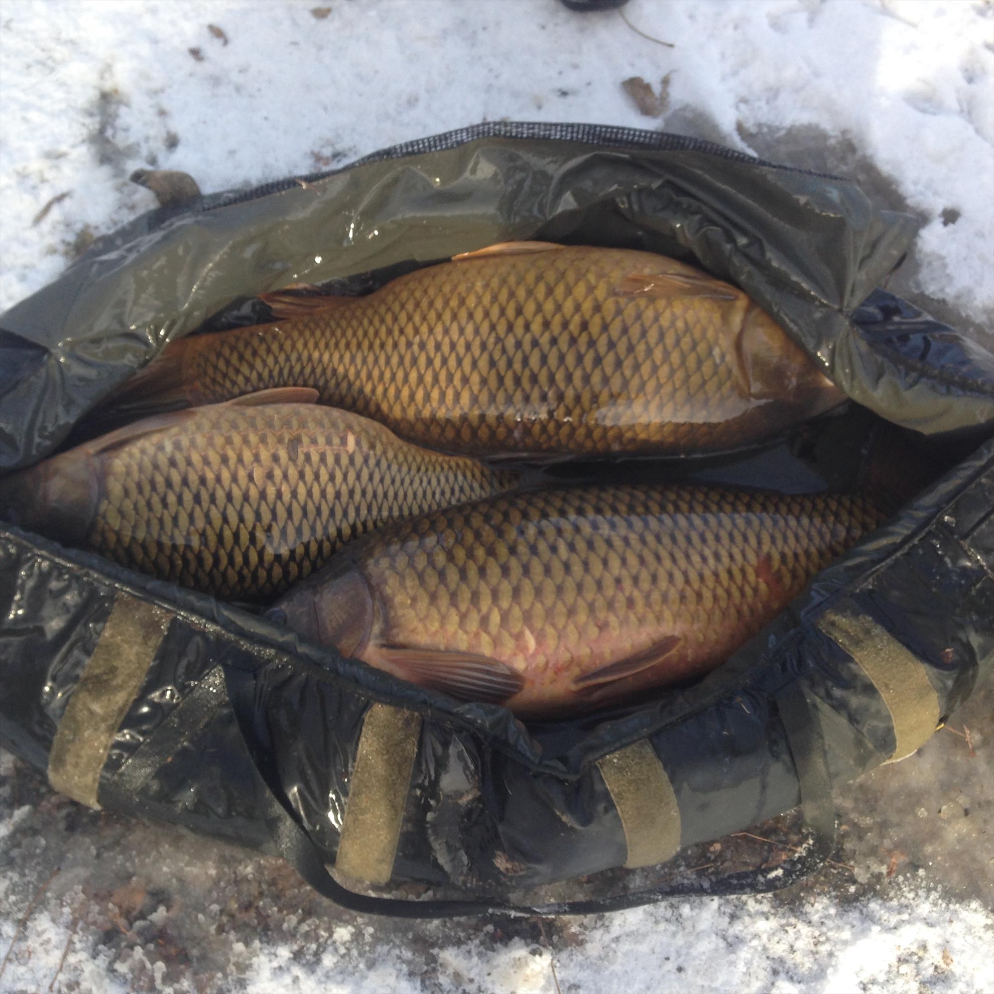 ISOLA DEL PESCATORE 13 - 14 ianuarie 2017 - img4538.JPG